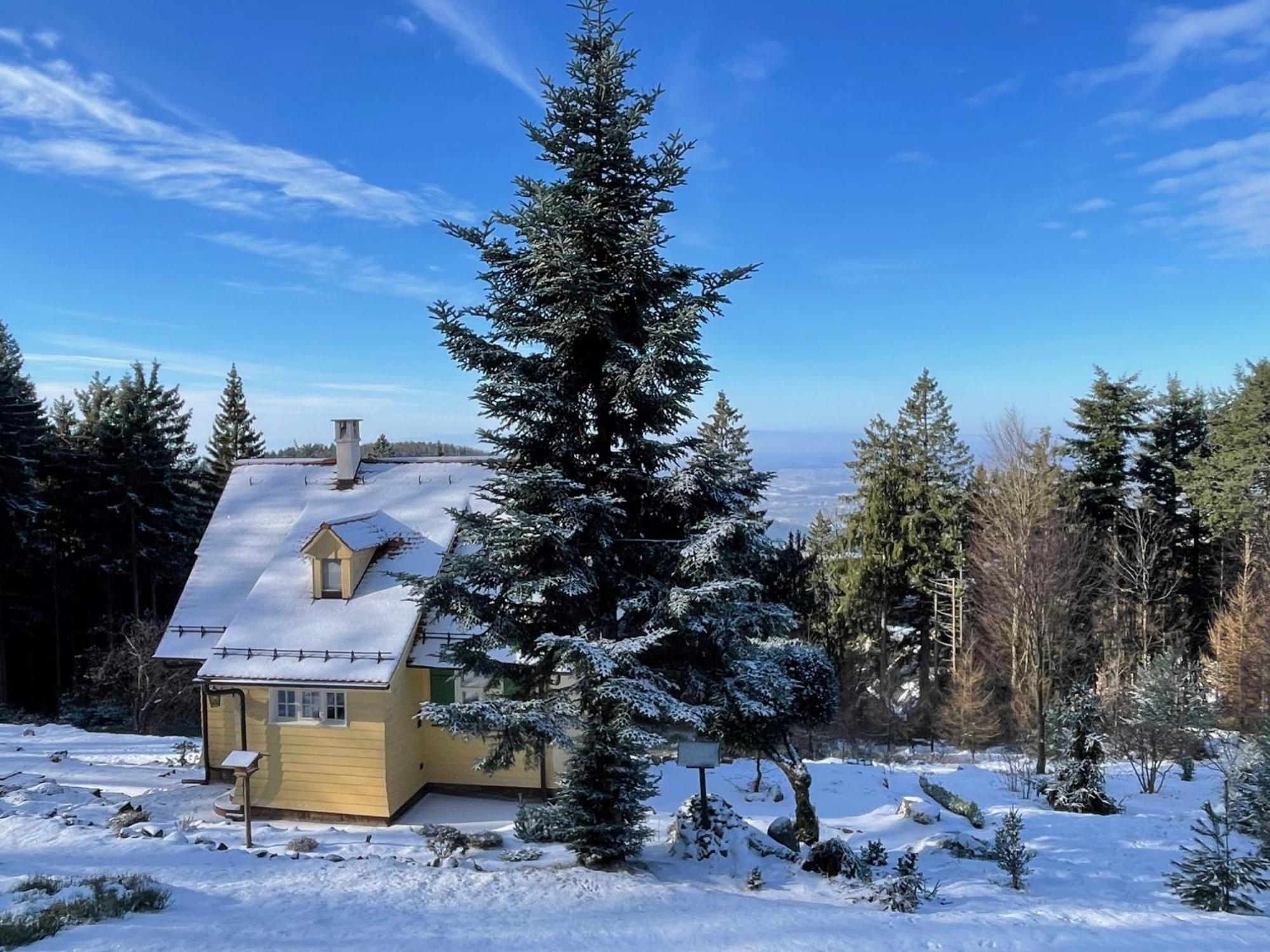 Sonnenhaeusle - Natur. Fernblick. Panorama-Sauna. Sasbachwalden Exterior foto